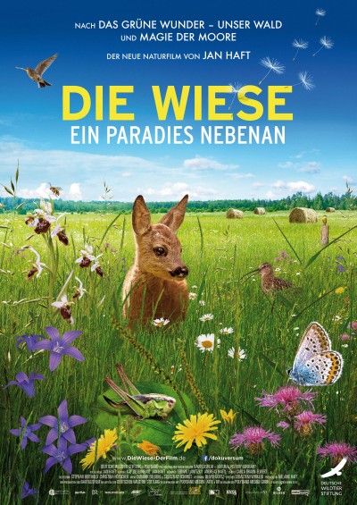 Filmplakat Die Wiese - Ein Paradies nebenan